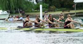 Final of the Wyfold
